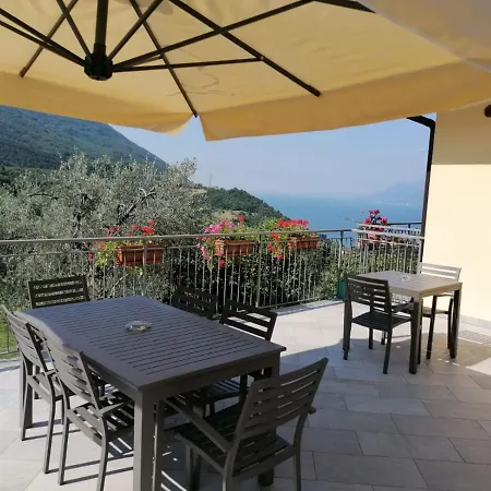 Aurora * מאלצ'סינה