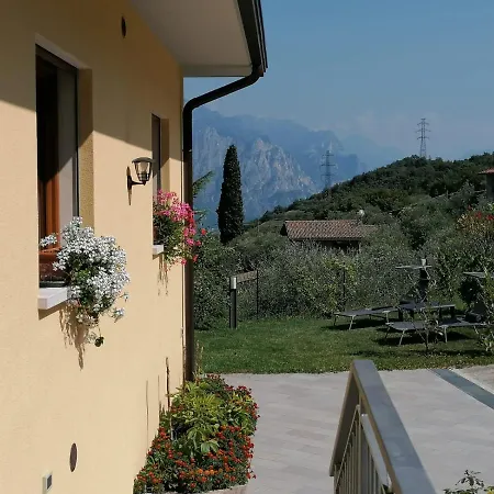 Aurora מאלצ'סינה