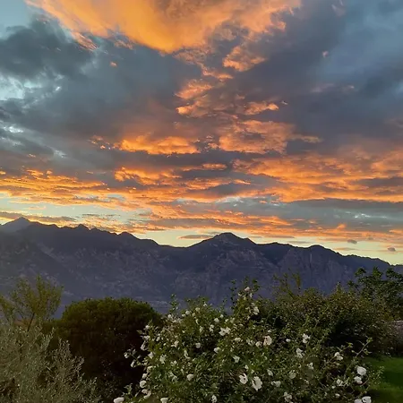 Aurora מאלצ'סינה